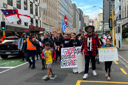 In Rightward Shift, New Zealand Reconsiders Pro-Maori Policies
