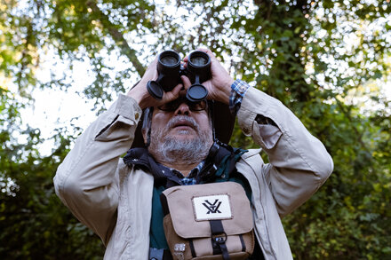 Why Warblers Flock to Wealthier Neighborhoods