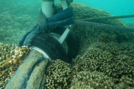 Underwater Video Shows U.S. Plane on Fragile Coral Reef