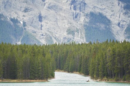 Two People Killed by Grizzly Bear at Banff National Park in Canada
