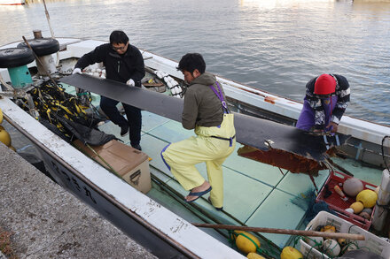 U.S. Air Force Says Osprey Crash Off Japan Left No Survivors