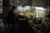 In Peru, a Fossil-Rich Desert Faces Unruly Development