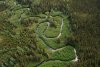 Canada’s Logging Industry Devours Forests Crucial to Fighting Climate Change
