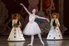 A Guide to N.Y.C. Holiday Events: Live Music, Theater, Lights and More