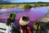 A Pond in Hawaii Turned Pink, Raising an Environmental Red Flag
