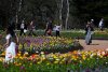 Previewing a Spring of Culture in Australia