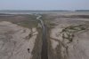 A Severe Drought Pushes an Imperiled Amazon to the Brink