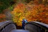 Four Seasons in One Day
