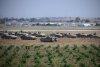 Israel: From the Six-Day War to the Six-Front War