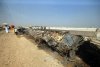 At Least 32 Killed in Vehicle Pileup in Egypt