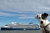 Sea Dogs