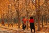 Great Fall