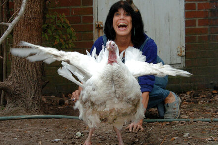 Karen Davis, Who Battled for the Rights of Birds, Dies at 79