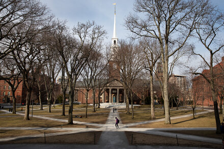 As Harvard President Faces Pressure to Resign, Some Faculty Show Support