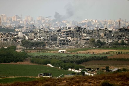 A Gaza professor and her family defied an evacuation order and struggle to survive in the north.
