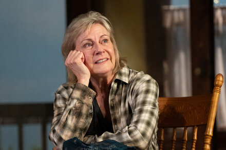 ‘Swing State’ Review: All Is Not Well in Wisconsin