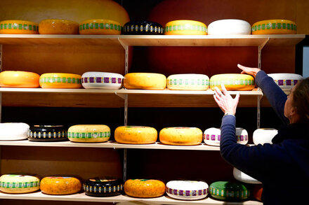 265 Different Kinds of Cheese