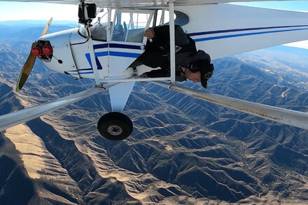 Man Gets 6 Months in Prison for Destroying Evidence of Intentional Plane Crash
