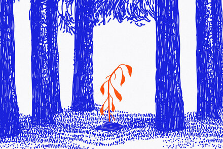 Los cuatro males de la economía de América Latina