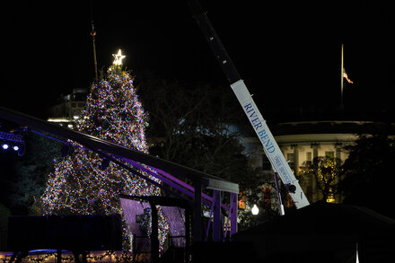 The National Christmas Tree Fell Over. Insert Metaphor Here.