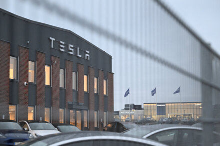 Tesla Sues Swedish Transport Agency in Dispute Over License Plates