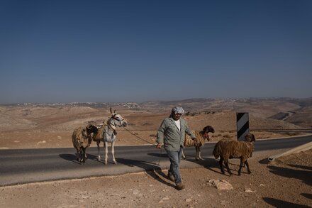 Israeli Herders Spread Across West Bank, Displacing Palestinians