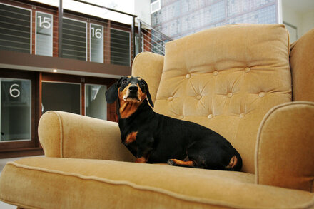 ‘Don’t Just Sit There!’