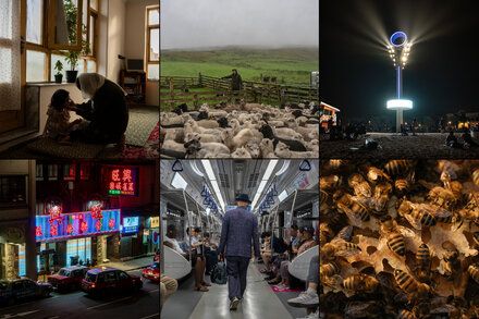 The World in Stories: 13 Favorite Dispatches From 2023
