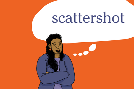 Word of the Day: scattershot