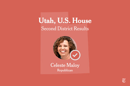 Utah Second Congressional District Special Election Results
