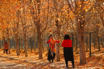 Great Fall