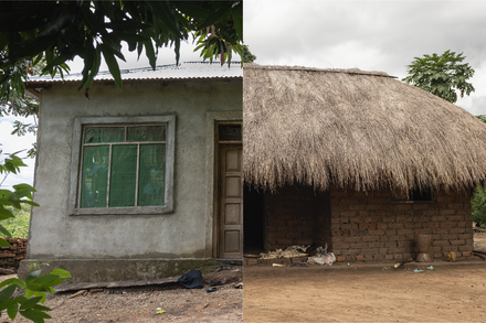 One Village, Two Houses — and a New Tactic to Win the War on Mosquitoes