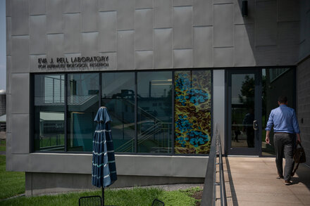 Inside a High-Security Virus Lab