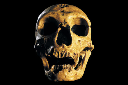 Morning Person? You Might Have Neanderthal Genes to Thank.