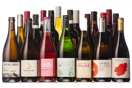 20 Wines Under $20: Bottles for All Seasons
