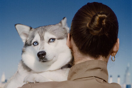 Cuando las guerras culturales llegaron al cuidado de los perros
