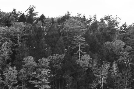 Stephen King on Mass Shootings: We’re Out of Things to Say